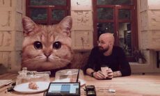 Artista russo imagina o mundo com gatos gigantes, e o resultado é hilário. Instagram @odnoboko