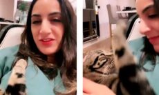 Vídeo: dona canta para gato, e a reação do bichano quebra a internet. Instagram @dontstopmeowing