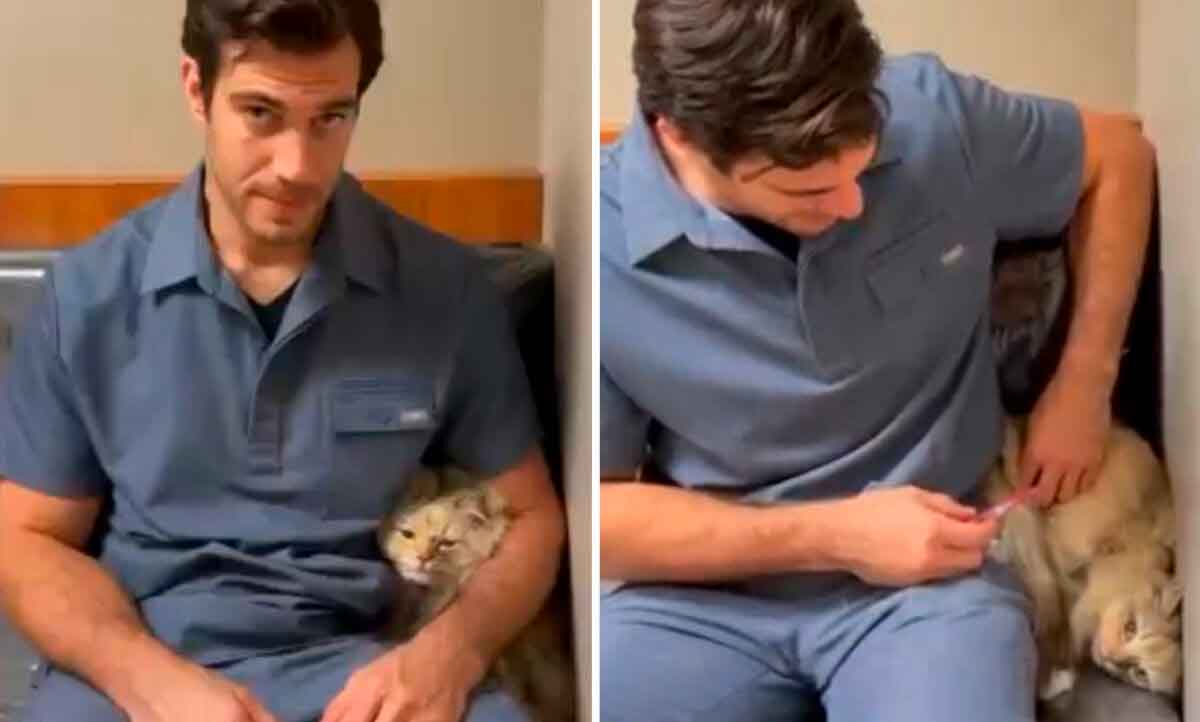 Vidéo : un chat timide ne peut se faire vacciner qu'en se cachant derrière le vétérinaire (Photo: Reproduction/Facebook)