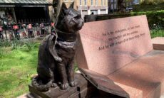 A Street Cat Named Bob. Foto: Wikimedia