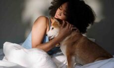 As 10 melhores raças de cães para quem vive sozinho