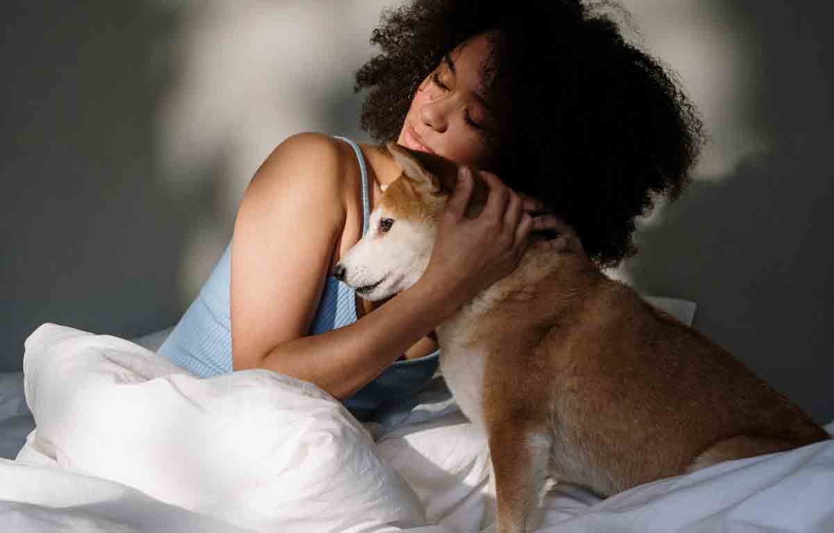 De 10 beste hunderasene for de som bor alene