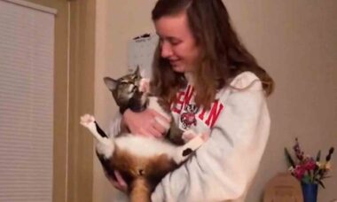 Vídeo: gato imita a dona como se fosse um papagaio e quebra a internet. Foto e vídeo: Reprodução Tiktok @miss_nugget_cat