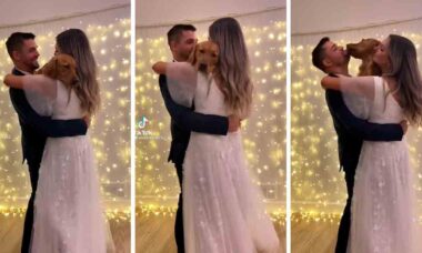Vídeo: marido e mulher dançam com seu cão durante cerimônia de casamento (Foto: Reprodução/Instagram)