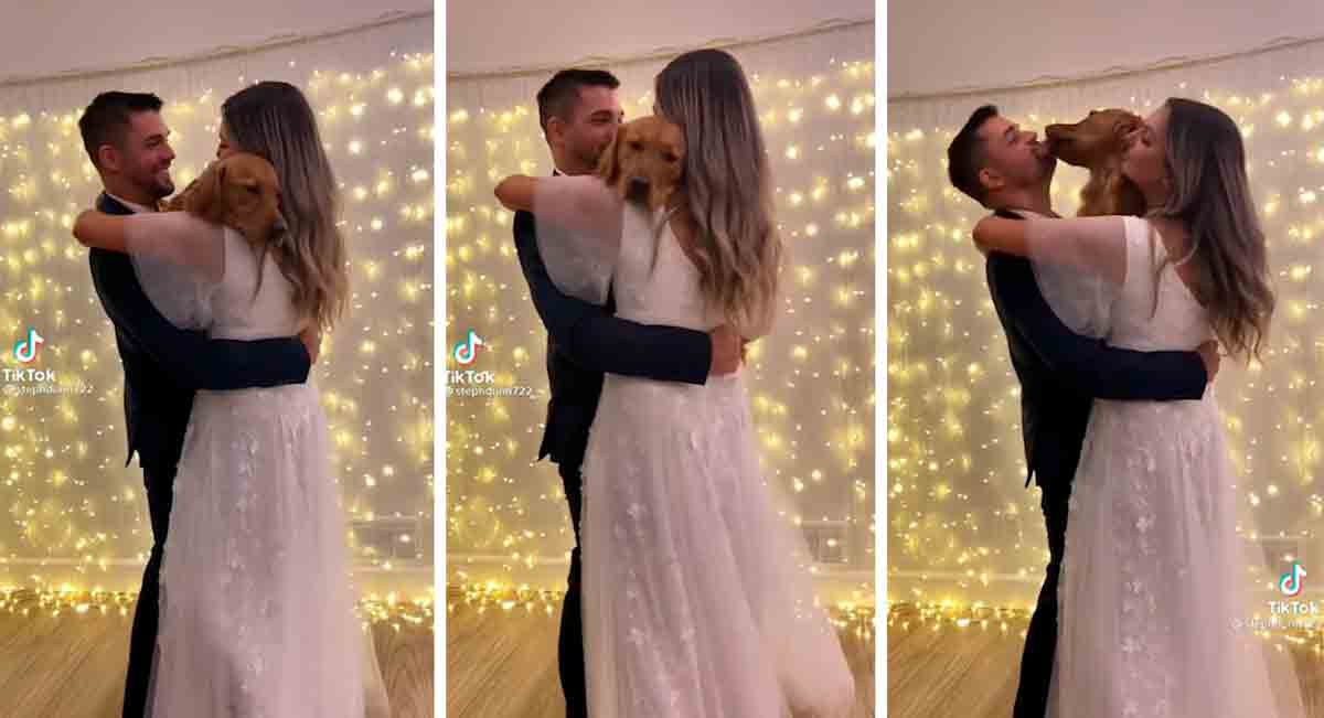 Video: husband and wife dance with their dog during wedding ceremony (Photo: Reproduction/Instagram)