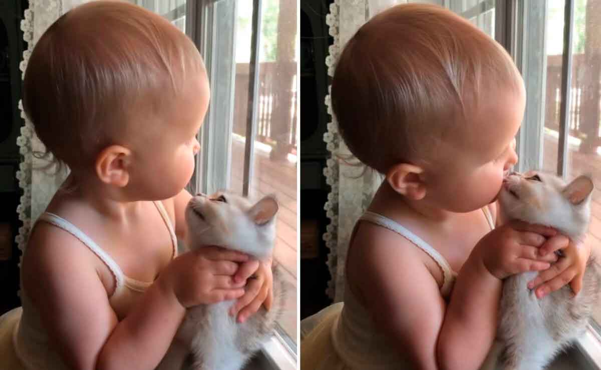 Bedårande video: Liten flicka älskar att kyssa sin katt och berör internets hjärtan. Foto: Tack Instagram