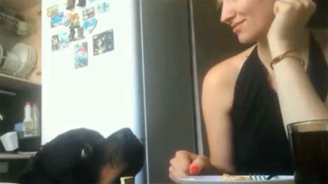 Lustiges Video zeigt hungrigen Rottweiler, der versucht, das Mittagessen seiner abgelenkten Besitzerin zu stehlen. Fotos und Video: X @PierPets