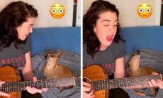 Cão rouba a cena ao 'cantar' no ritmo certo com a dona em vídeo hilário. Fotos e vídeo: Instagram @casperandpam