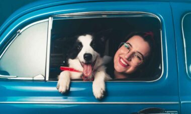 As 10 melhores raças de cães para donos que viajam de carro com seus pets. Foto: Pexels