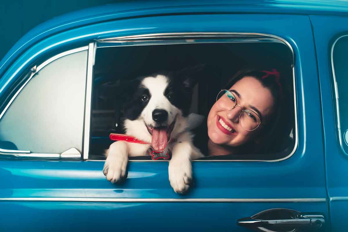 The 10 best dog breeds for owners who travel by car with their pets. Photo: Pexels