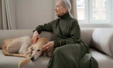 Veja as 15 raças de cães mais caras para criar e manter. Foto: Pexels