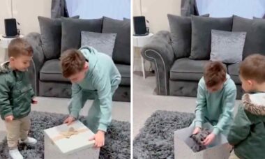 Vídeo comovente mostra menino às lágrimas ao receber filhote de cachorro de presente. X @dogdistrictctr