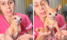 Vídeo hilário: cachorrinha faz “meditação” para controlar fúria. Instagram @jujuepituca