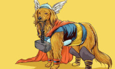 Dia do Orgulho Nerd: saiba quais são os personagens de quadrinhos mais lembrados na hora de batizar cães e gatos