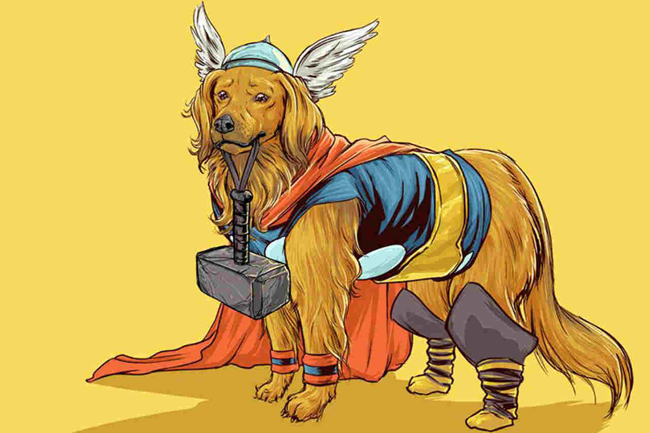 Dia do Orgulho Nerd: saiba quais são os personagens de quadrinhos mais lembrados na hora de batizar cães e gatos