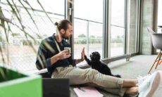 Saiba como cuidar de um filhote de cão para que ele se torne um adulto saudável