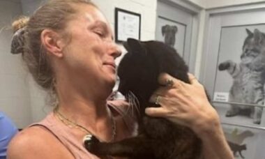 Gato reencontra a dona dez anos após ter desaparecido (Foto: Reprodução/Facebook)