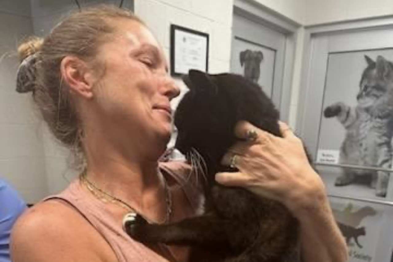 Gato reencontra a dona dez anos após ter desaparecido (Foto: Reprodução/Facebook)