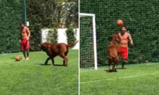 Vídeo: nem o cachorro do Messi escapa da genialidade do craque