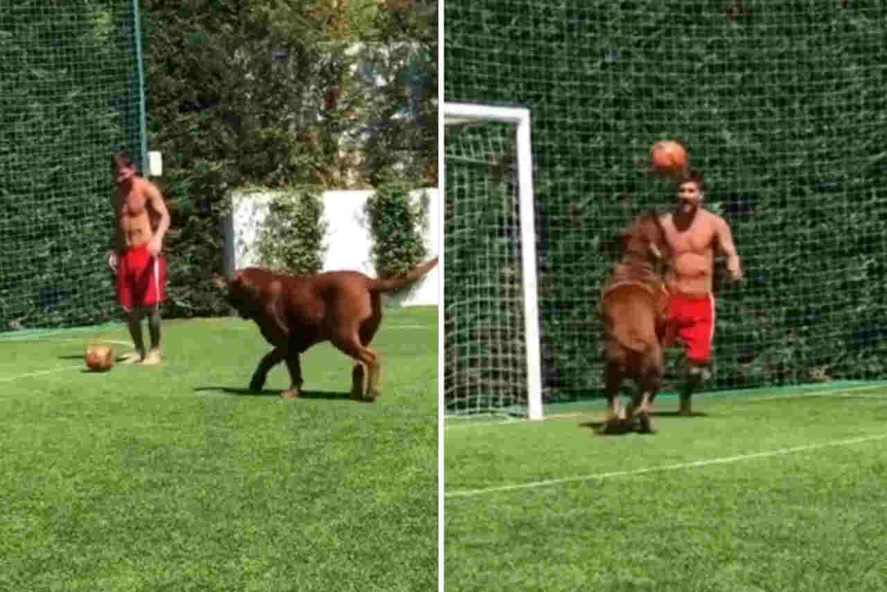 Vídeo: nem o cachorro do Messi escapa da genialidade do craque