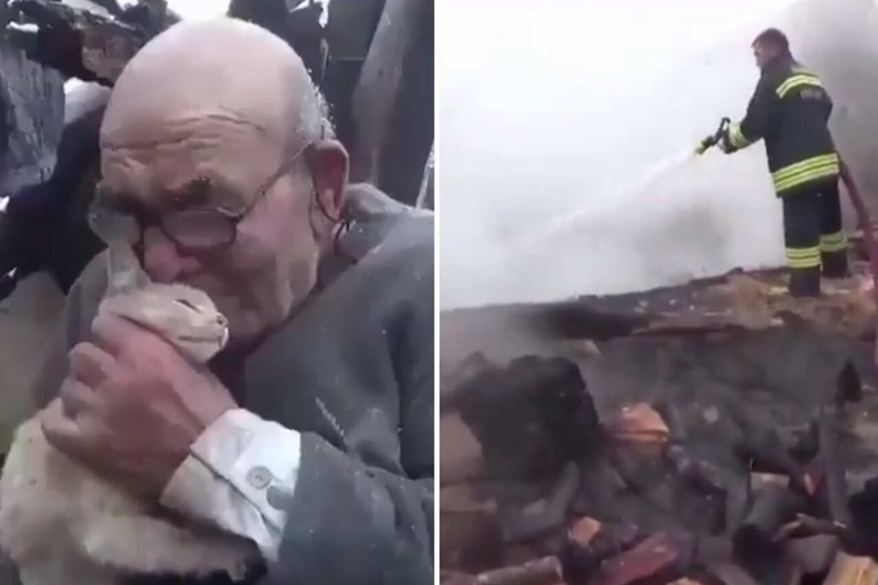 Vídeo comovente: homem tem casa incendiada, mas chora de felicidade ao ver que seu gato sobreviveu