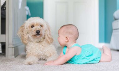 Especialista explica por que essas 5 raças de cães são as melhores para quem tem criança em casa