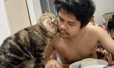 Mulher registra como seu marido foi 'sequestrado' pelo gato da família