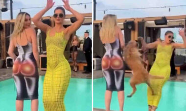 Vídeo hilário: cachorro põe fim à festa de mulheres fazendo pose sexy à beira da piscina