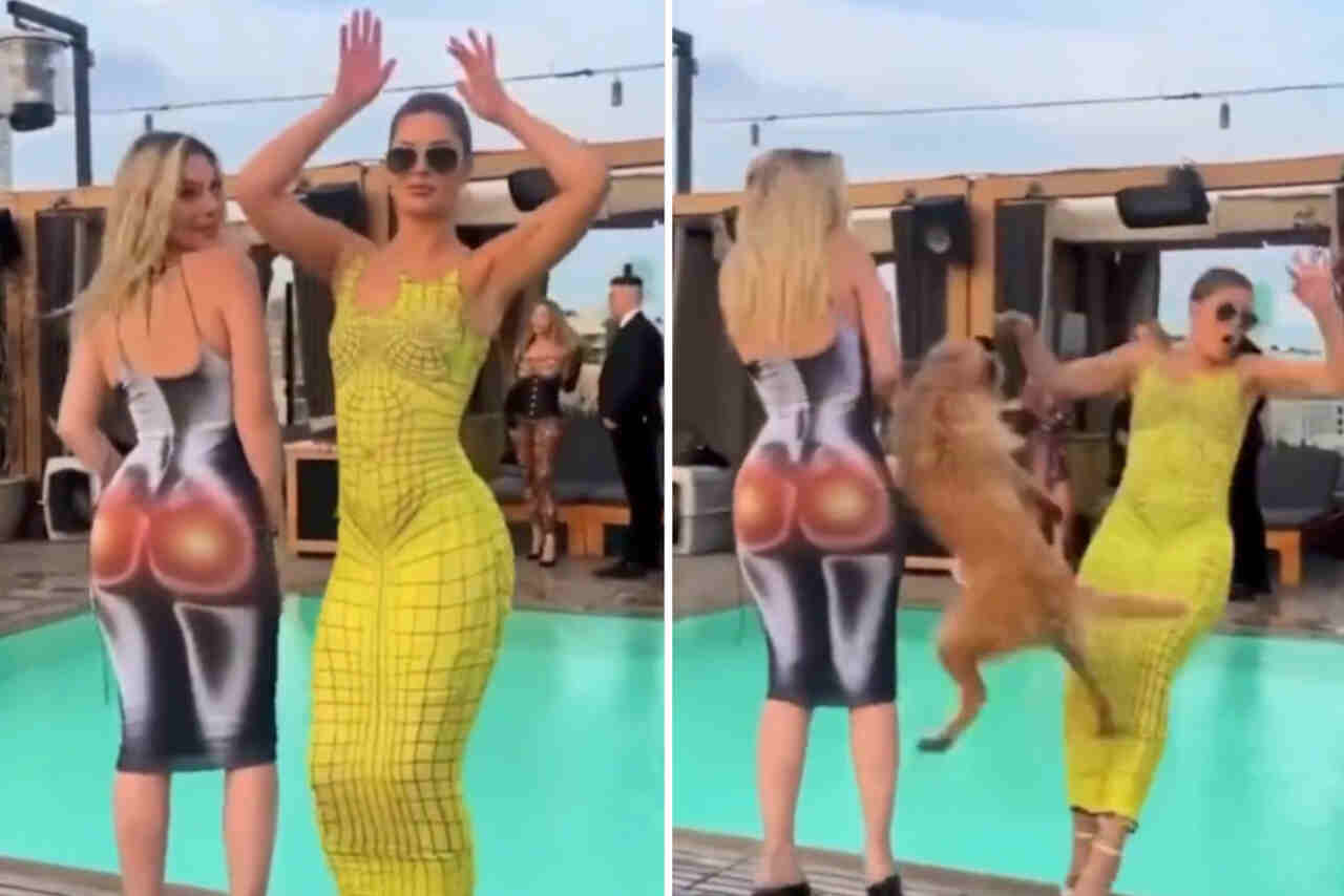 Hilarious video: dog ends women's sexy posing poolside party