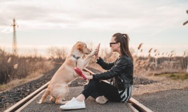 Entenda os sinais enviados pelos cães e descubra se um deles é sua alma gêmea