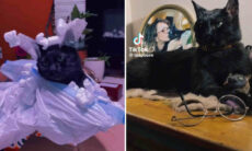 Mulher gasta R$ 16 mil para congelar seu gato: 'Estamos juntos para sempre'