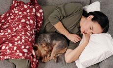 As 10 melhores raças para quem gosta de dormir com cães. Foto: pexels