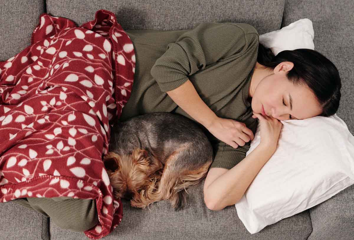 As 10 melhores raças para quem gosta de dormir com cães. Foto: pexels