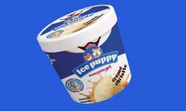Primeira marca brasileira de sorvetes para pets chega ao mercado