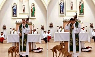 Vídeo hilário: cães excitados resolvem pecar ao lado de padre durante missa