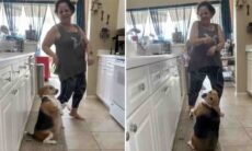 Vídeo hilário: cãozinho demonstra originalidade ao dançar com a dona
