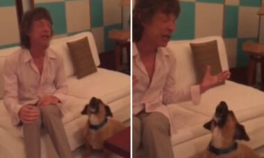 Vídeo: Mick Jagger faz dueto com cão, que canta melhor que o vocalista dos Rolling Stones