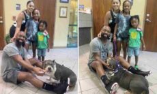 3 anos e 480 km depois, família e cão perdido se reencontram