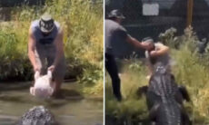 Vídeo impressionante: humanos se arriscam com animais e escapam da morte por um triz