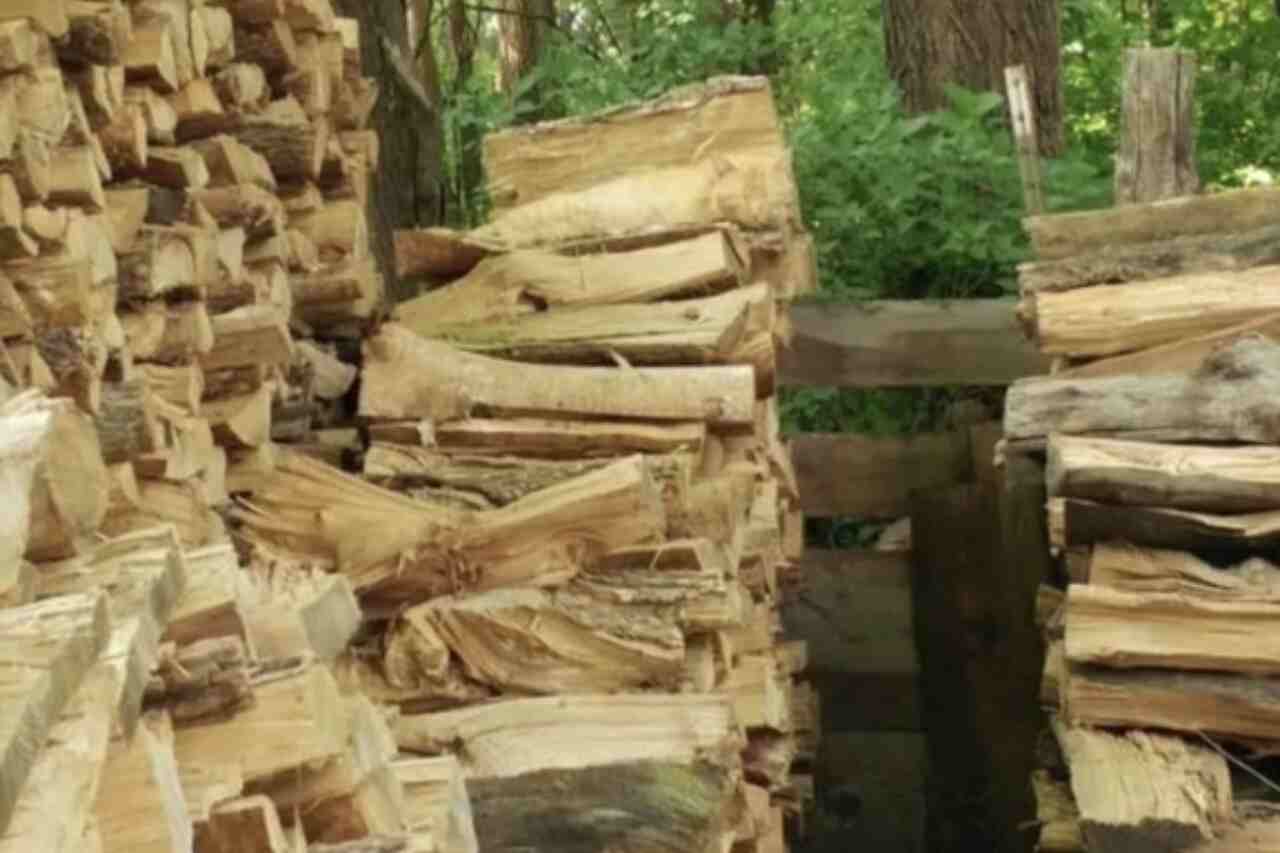 Can you find the hidden cat in less than 10 seconds?
