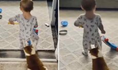 Essa compilação de vídeos de gatos com crianças vai alegrar a sua semana