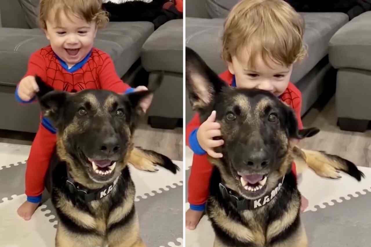 This video of pets and children is the cutest thing you'll see this week