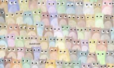 Desafio: você consegue encontrar o gato entre corujas em até 15 segundos?