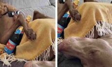 Dono aproveita sono incontrolável de seu cão para trollar o bicho