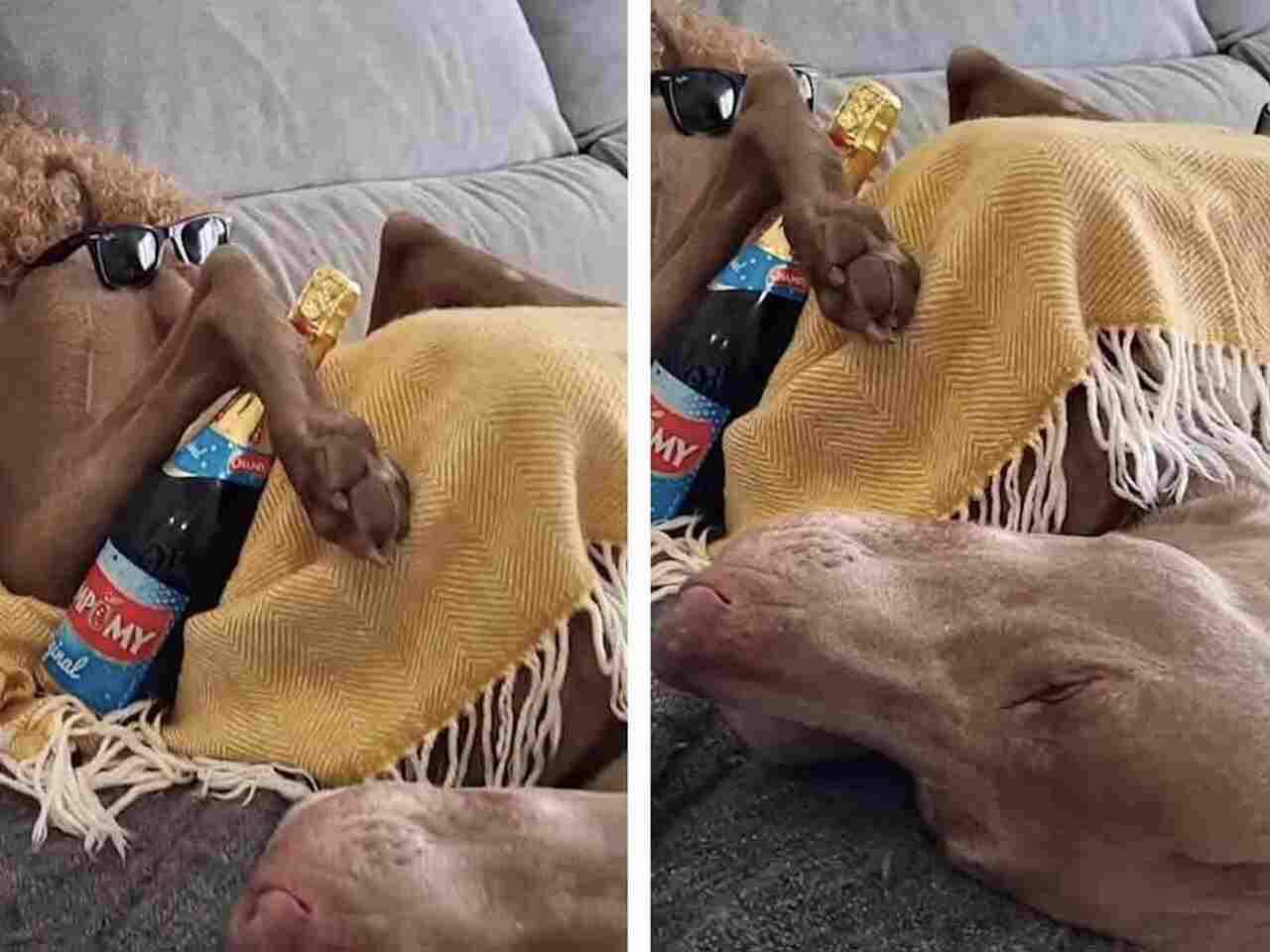 Il proprietario approfitta del sonno incontrollabile del suo cane per fare uno scherzo all'animale