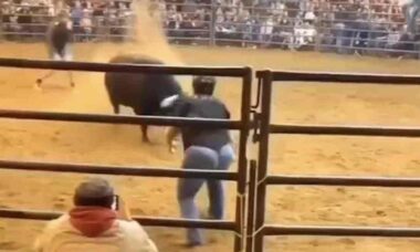 Vídeo: touro bravo faz voar um caubói acima do peso