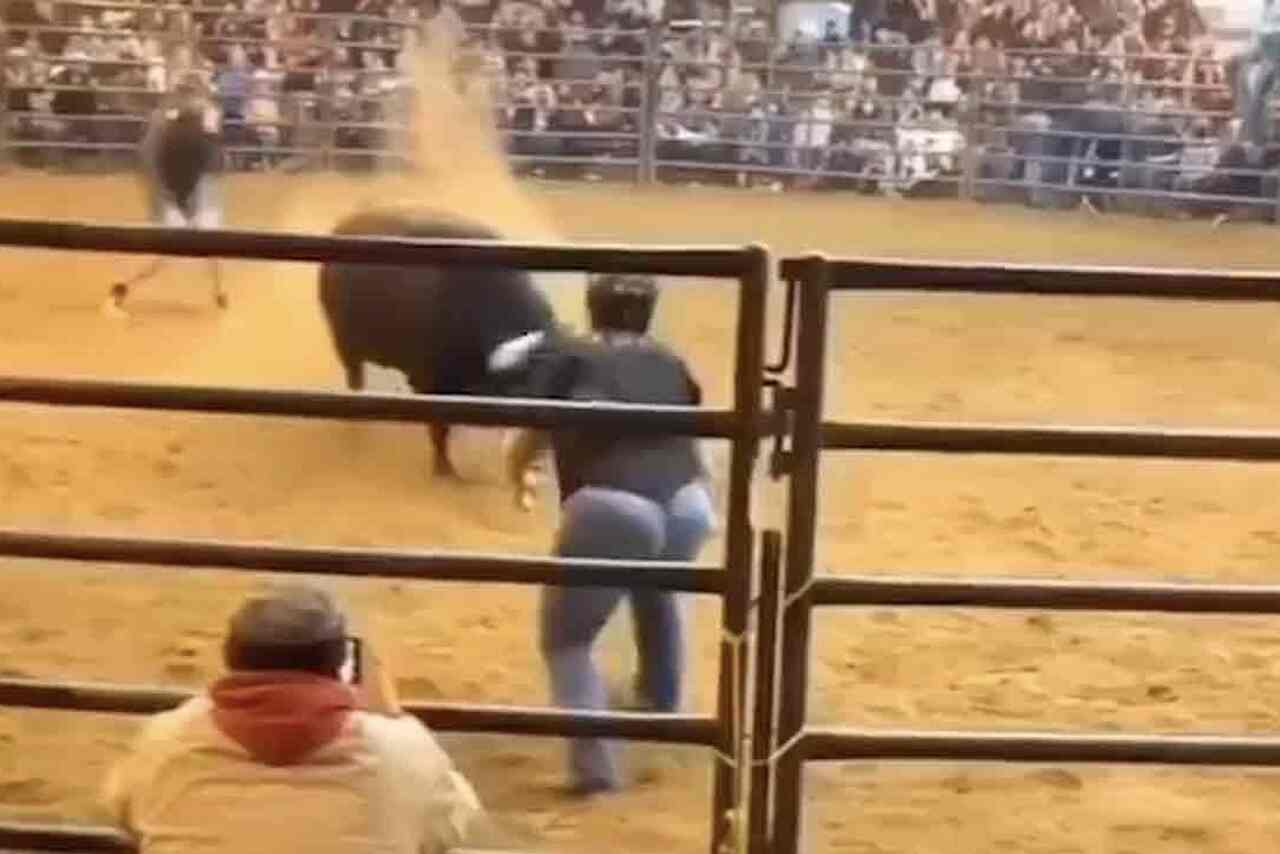Videó: Dühös bika repí egy túlsúlyos cowboy-t