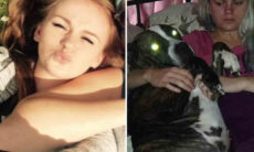 Passeadora de cães é atacada e morta pelo seu próprio pitbull gigante