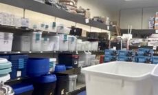 Desafio: você consegue encontrar o gato escondido na loja em até 7 segundos?