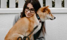 Confira as 10 raças de cães mais indicadas para donos tímidos. Foto: pexels